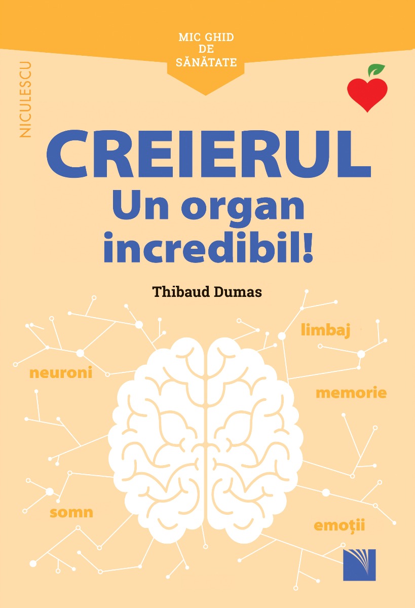 Mic ghid de sănătate: Creierul. Un organ incredibil!
