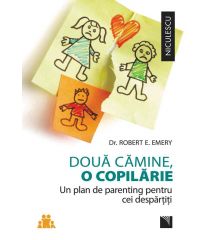 Două cămine, o copilărie. Un plan de parenting pentru cei despărţiţi.