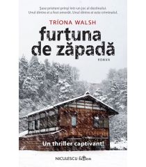 Furtuna de zăpadă