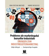 Probleme ale marketingului bunurilor industriale / Ubungen zum industriemarketing